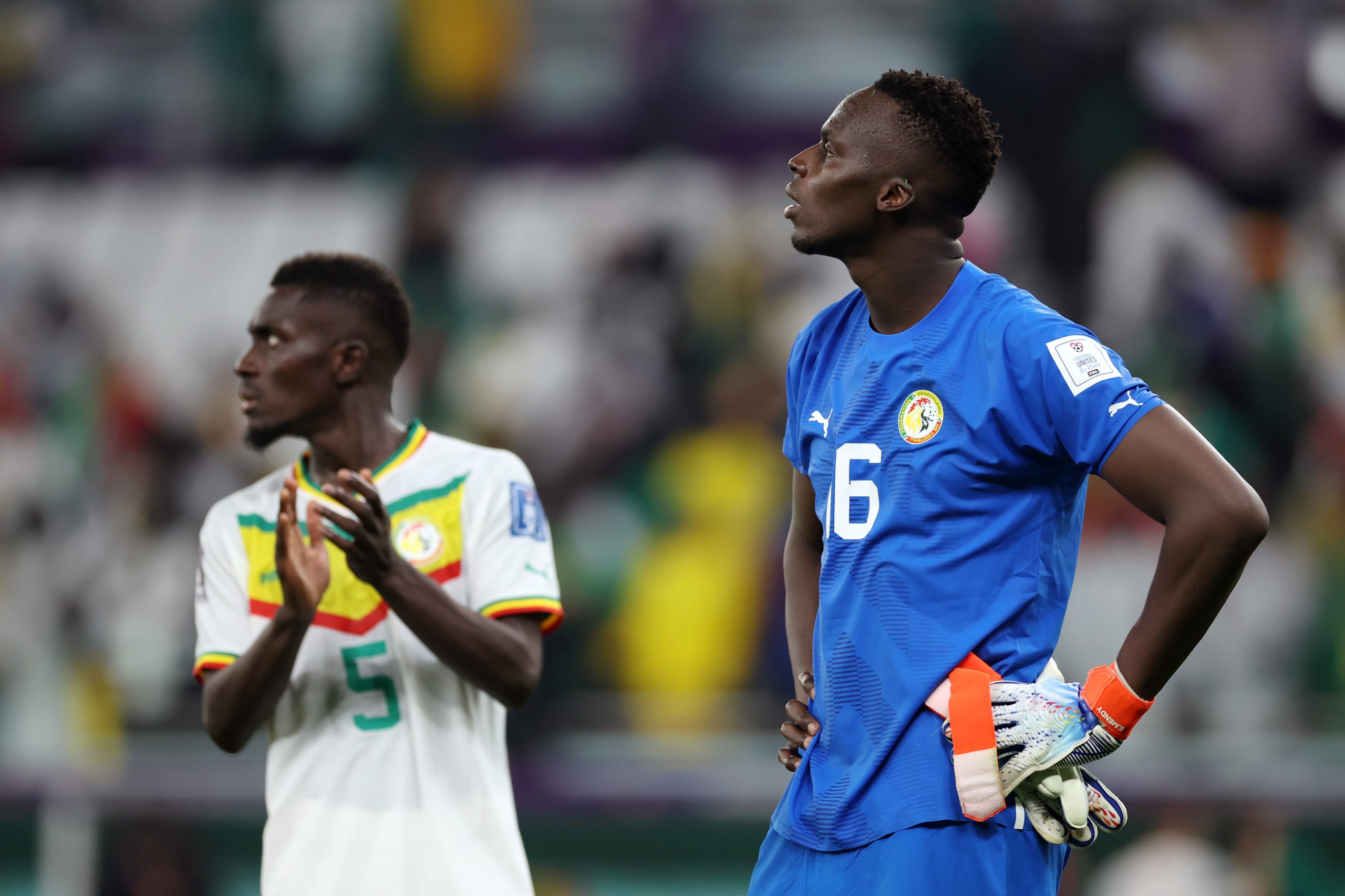Senegal v Netherlands: Group A – FIFA World Cup Qatar 2022
